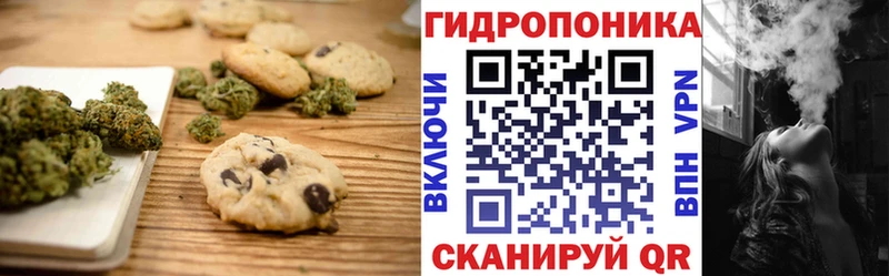 Canna-Cookies конопля Ясный