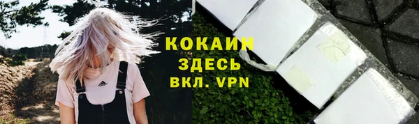 гидра Нея