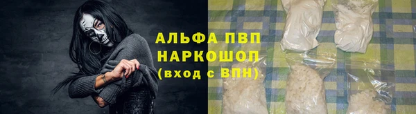 гидра Нея